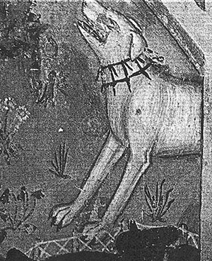 Cane da pecora con vraccale, particolare dell'affresco della Natività, Chiesa di S. Francesco, XIV secolo; comune Amatrice (Rieti)